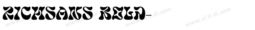 RichSans Bold字体转换